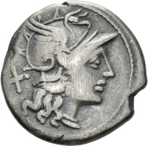 Denar des C. Iunius mit Darstellung der Dioskuren