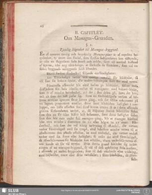 II. Capitlet. Om Masugns-Grunden