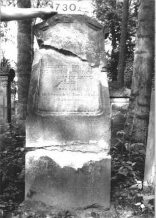 Grabstein 730