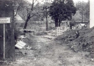 Umgestaltung des Weinbergfriedhofs in eine Grünanlage. Detmold. Paulinenstraße