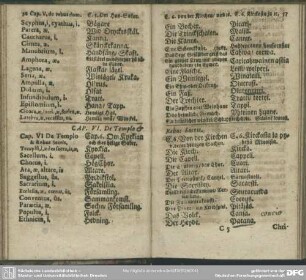 Cap. VI. De Templo & Rebus Sacris