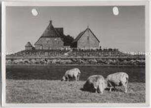 Hallig Hooge, Kirchwarft