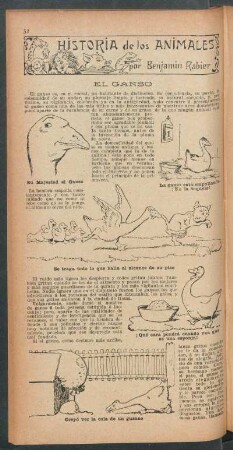 El ganso : Historia de los animales