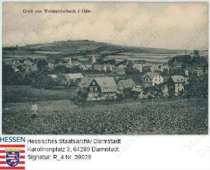 Wald-Michelbach, Panorama