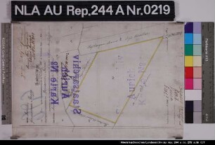Lage eines Domanialgrundstückes im Gemeindebezirk RIEPE Kolorierte Zeichnung von Schulze Papier Format 23,3x34,2 M 1:2.000