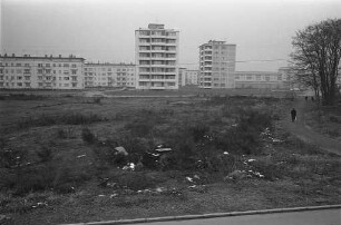 Wiesengelände östlich der Straße "Am Schänzle" in der Nordweststadt.