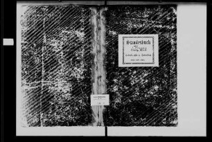 Binau, evangelische und israelitische Gemeinde: Standesbuch 1868-1869