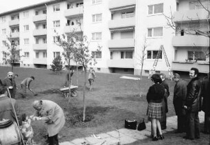 Freiburg: Julius-Brecht-Straße; Oberbürgermeister beim Setzen der Eichen