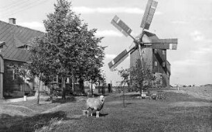 Eibau-Neueibau. Neumanns- oder Zimmermann-Mühle, Ansichtskarte