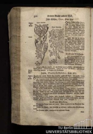 Cap. 359. Ziser-Erbsen, Cicer.