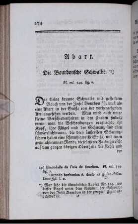 Abart. Die Bourbonsche Schwalbe.