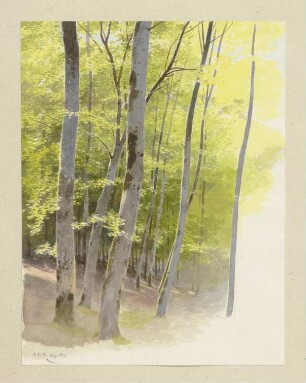Waldpartie