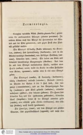 Terminologie