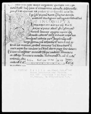 Vitae sanctorum, Hugo von Sankt Viktor, Williram von Ebersberg — Initiale D (e incorrupta), Folio 107 recto