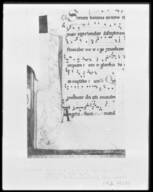 Graduale — Initiale A(dorare) mit anschließender Ranke, Folio 18verso