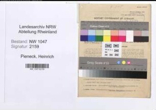 Entnazifizierung Heinrich Pieneck , geb. 08.02.1890 (Steuerberater)