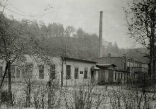 Sächs. Glasmanufaktur, Roßwein