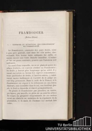 Framboisier (Rubus Idaeus)
