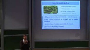 Synthetic Morphology Approaches in Pseudomonas putida for Bioremeditation of Haloalkanes