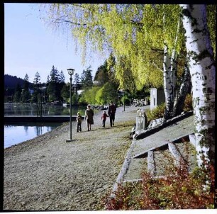 Titisee: Uferpromenade, vier Spaziergänger