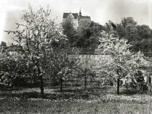 Colditz. Blick zum Schloss von Norden