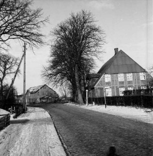 Hauptstraße mit Kopfsteinpflaster: rechts Bauernhaus mit Hecke und Garten: davor Baumreihe: links Strommast: hinten Bauernhaus