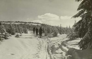 Osterzgebirge. Skiläufer auf dem Weg zum Kahleberg