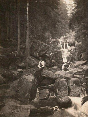Harz. Kleine steinerne Renne westlich von Wernigerode, posierender Dame auf einem Felsblock sitzend