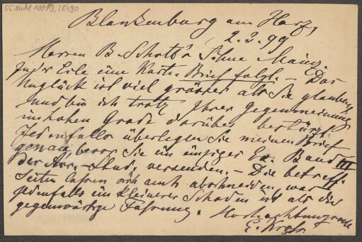 Brief an B. Schott's Söhne : 02.03.1899