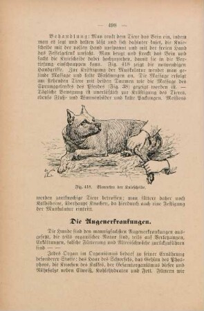 Die Augenerkrankungen
