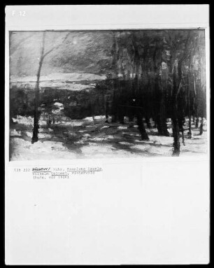 Winterwald