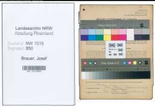 Entnazifizierung Josef Brauer , geb. 03.06.1901 (Landwirt)