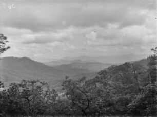 Gebirgslandschaft : Vegetationslandschaft eines Gebirges