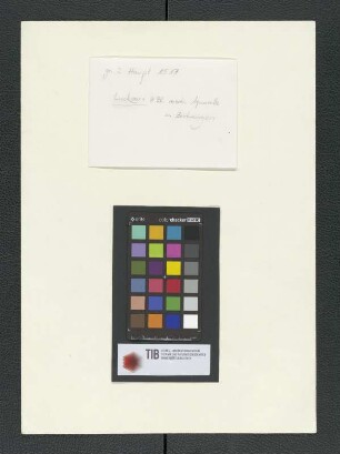 Verschiedene Aquarelle und Zeichnungen [Carl Luckow, zeichnerischer Nachlass]