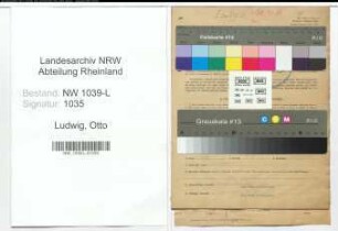 Entnazifizierung Otto Ludwig , geb. 15.01.1905 (Bandagenmeister)