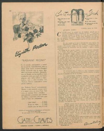 Cartas de Nueva York