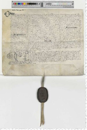 Otto Hermanni transsumiert die Präsentationsurkunde und nimmt die entsprechende Investitur vor, für eine Vikarie am Ursule Altar zu St. Johannis [lat].