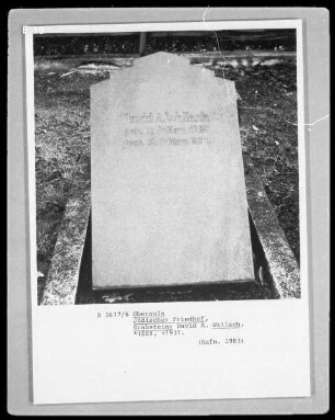 Grabstein von David A. Wallach, gestorben 1937