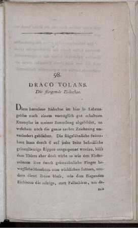 98. Draco Volans. Die fliegende Eidechse.