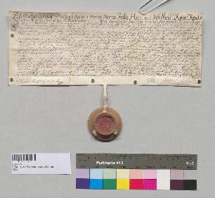 Berchtesgadener Leibgedingsbrief der Maria, verwitwet Kropp, für das Hofbauergut, auch Köginger-Sitz genannt, zu Schönbrunn.; S: Stift Berchtesgaden