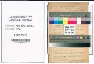 Entnazifizierung Peter Stein , geb. 11.12.1889 (Geschaeftsfuehrer)