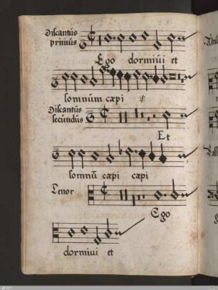 [Cornelius Canis] : Ego dormivi