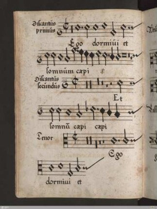 [Cornelius Canis] : Ego dormivi