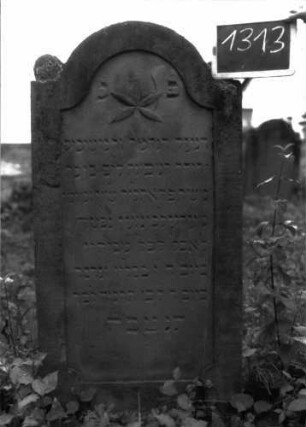 Grabstein 1313 (Index: 100104589) Material: Sandstein Zustand: einzelne Stellen angewittert, sonst gut erhalten Maße HxBxT: 149x65x9 cm Beschreibung: Stele mit eingezogenem Rundbogenabschluss, auf den Einzügen Kugelaufsätze, Schriftfeld eingetieft mit Konvexbogenabschluss, im Bogenfeld Blüte Symbolik: Blüte Besonderheit: Kind: Grabstein 1313