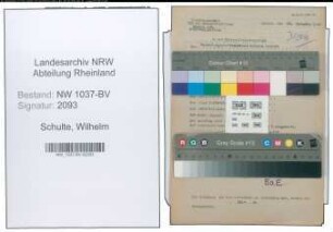 Entnazifizierung Wilhelm Schulte , geb. 09.04.1902 (Verw.Inspektor)