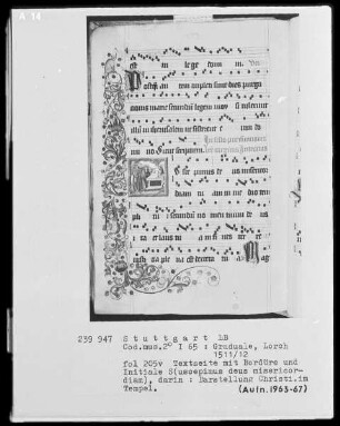 Graduale (Benediktinerhandschrift) — Textseite mit figürlichen Darstellungen, Folio 205verso