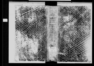 Obrigheim, katholische Gemeinde: Heirats- und Sterbebuch 1810-1867