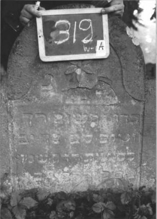 Grabstein 319 (Index: 99895686) Material: Sandstein Zustand: verwittert und bewachsen Maße HxBxT: 83x70x9 cm Beschreibung: Stele mit eingezogenem Rundbogenabschluss Symbolik: Blüte: Grabstein 319A