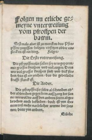 Folgen nu etliche gemeyne unterweisung vom pfroffpen der bawm.