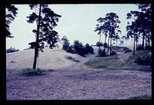 Heiligensee 3.7.66.